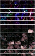 FNS-222 storyboard thumbnail During a dark fitness workout, Ranran Fujii's huge breasts, clitoris, and pussy are all played with, bringing her to a shameful climax.