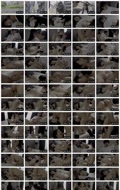 NIMA-085 storyboard thumbnail Live-action adaptation!! All I did was press the button... — Sui Tsukinoe